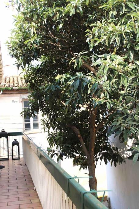Spacieux Appartement 4 Couchages, Terrasse Privee Narbona Zewnętrze zdjęcie